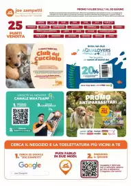 Volantino Joe Zampetti Pagina 48
