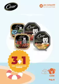 Volantino Joe Zampetti Pagina 9