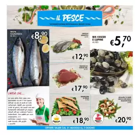 Volantino Maxi Coal settimana 22 Pagina 10