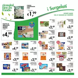 Volantino Maxi Coal settimana 22 Pagina 11