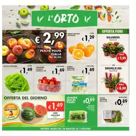 Volantino Maxi Coal settimana 22 Pagina 5