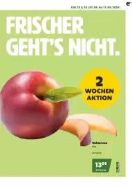Eurogast Grissemann Flugblatt Seite 5