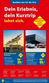 Lidl Reisen Prospekt Seite 2