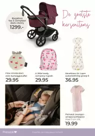 Prenatal folder week 23 Pagina 12
