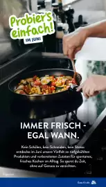 Aldi Süd Prospekt woche 25 Seite 30