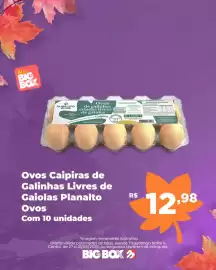 Encarte Big Box Página 8