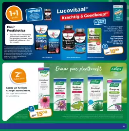 Trekpleister folder Pagina 33