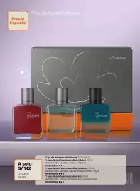 Catálogo Natura Página 13