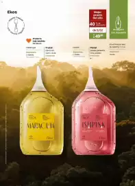 Catálogo Natura Página 53