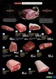 Catálogo Makro Página 17