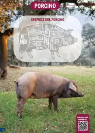 Catálogo Makro Página 32