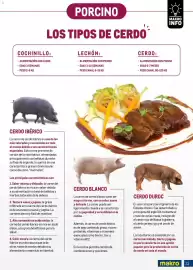 Catálogo Makro Página 33