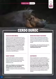 Catálogo Makro Página 36