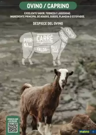 Catálogo Makro Página 41