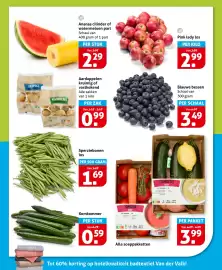 Hoogvliet folder week 23 Pagina 6