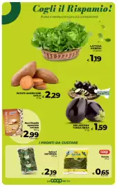 Volantino Coop Pagina 19