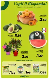 Volantino Coop Pagina 20