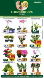 Catálogo Supermercados Avenida semana 22 Página 1