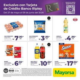Catálogo Mayorsa Página 12
