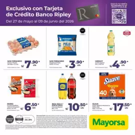 Catálogo Mayorsa Página 12