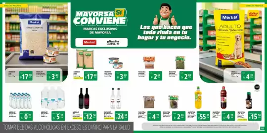 Catálogo Mayorsa Página 2