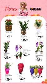 Encarte Giassi Supermercados Página 2