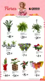 Encarte Giassi Supermercados Página 1