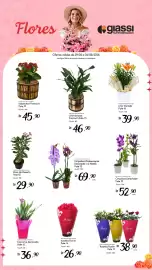 Encarte Giassi Supermercados Página 2
