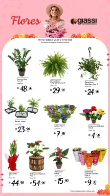 Encarte Giassi Supermercados (válido até 31-05)