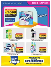 Folleto Carrefour Maxi semana 22 Página 3