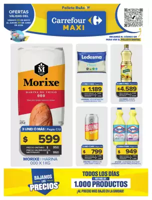 Carrefour Maxi (válido hasta 4-06)