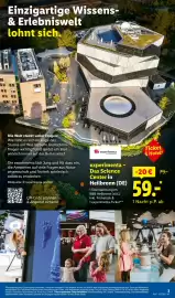 Lidl Reisen Prospekt Seite 3