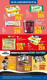 Lidl akciós újság hét 23 Oldal 11