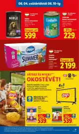 Lidl akciós újság hét 23 Oldal 17