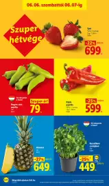 Lidl akciós újság hét 23 Oldal 50