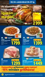 Lidl akciós újság hét 23 Oldal 6