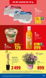 Lidl akciós újság hét 23 Oldal 69