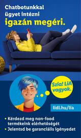 Lidl akciós újság hét 23 Oldal 34