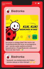 Biedronka gazetka Strona 20