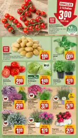 REWE Prospekt woche 23 Seite 5