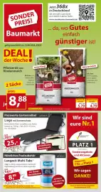 Sonderpreis Baumarkt Prospekt woche 23 Seite 1