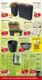 Sonderpreis Baumarkt Prospekt woche 23 Seite 9
