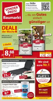 Sonderpreis Baumarkt (gültig bis 12-06)