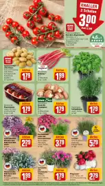 REWE DE tilbudsavis uge 23 Side 5