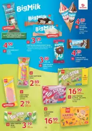 Selgros gazetka Strona 11