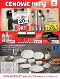 Selgros gazetka Strona 22