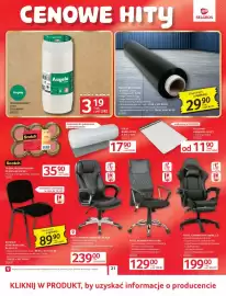 Selgros gazetka Strona 24
