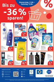 Budni Prospekt woche 24 Seite 8
