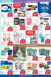Budni Prospekt woche 24 Seite 5