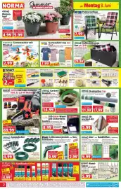 Norma Prospekt woche 24 Seite 2